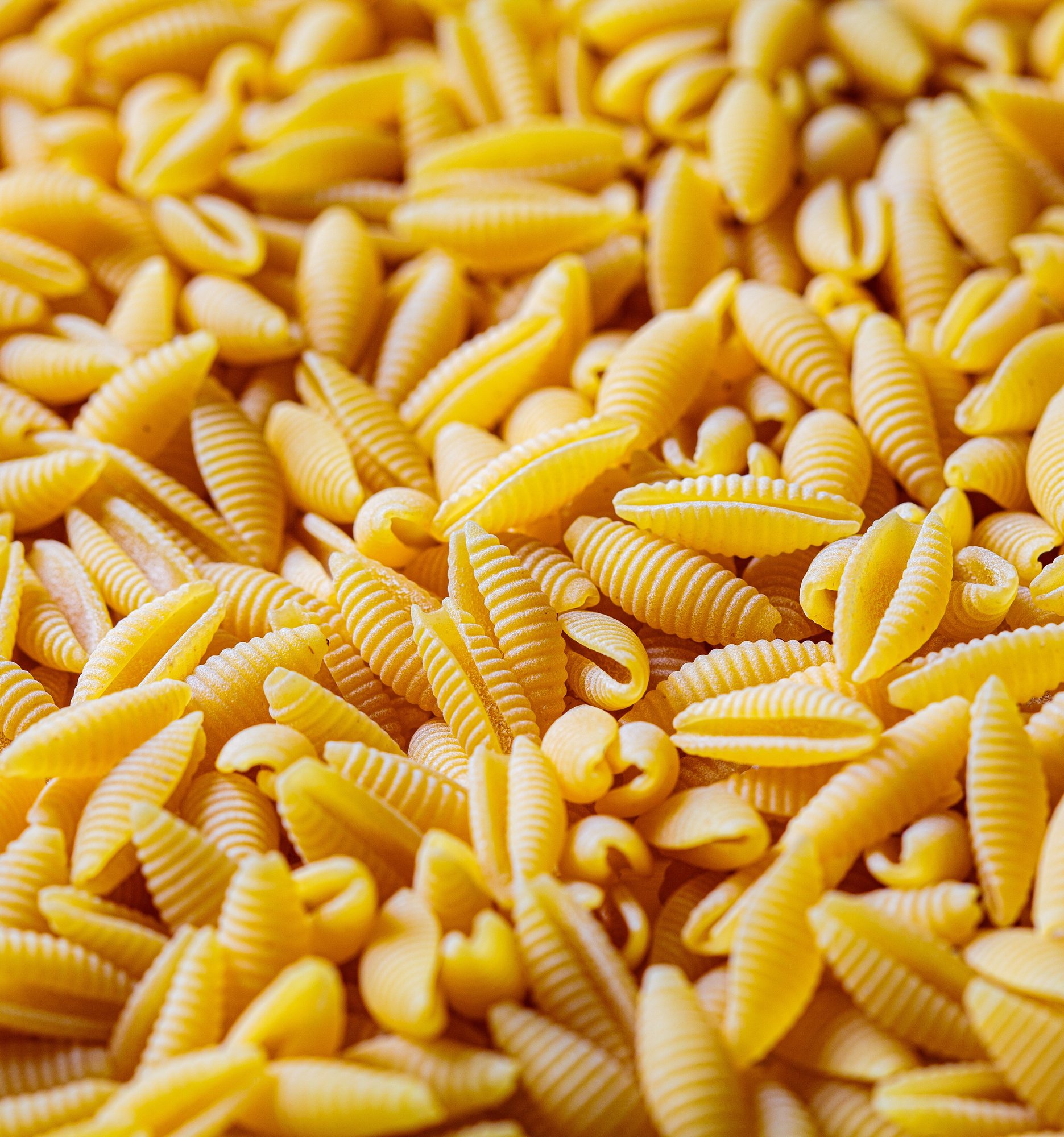 pasta molisana_